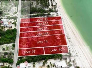 Terreno / Lote · 860m² · Terreno Frente Al Mar en Venta en Celestún, Yucatán