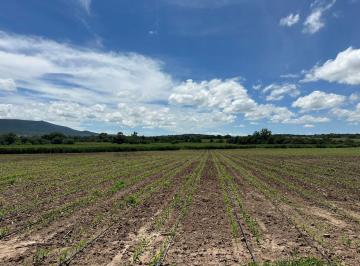 Villa · 490000ha · Rancho Agrícola y Ganadera en Venta, Colón, Querétaro Sup. 49 Has (Escriturado) con Pozo Conagua