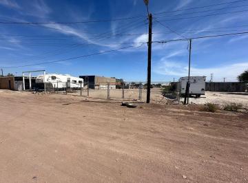 Terreno / Lote , Mexicali · Terreno en Renta en Colonia Progreso Sur