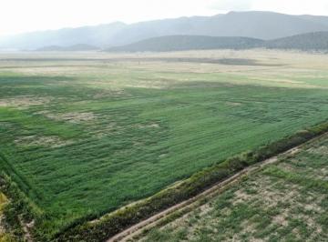 Terreno / Lote , Arteaga · Terreno de 19.08 Hectáreas en Venta | Cerca de San Antonio de Las Alazanas