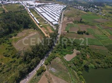 Foto 1 · Terreno Venta en La Autopista Tenango - Ixtapan, Villa Guerrero, Edo. de México