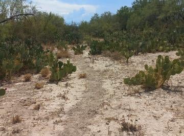 Terreno / Lote , Ciénega de Flores · Se Vende Terreno en Ciénaga de Flores, Col. Hacienda Los Treviño