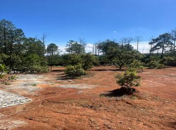 Terreno / Lote , Huasca de Ocampo · Terreno en Venta Quinta Andrea Huasca Hidalgo