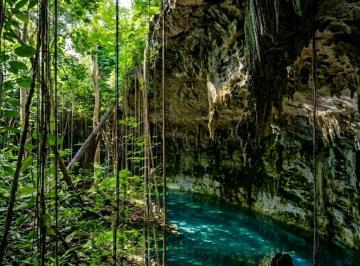 Terreno / Lote , Valladolid · Terreno Macro Lote 65 Ha con 3 Cenotes | Ideal Proyecto Turístico