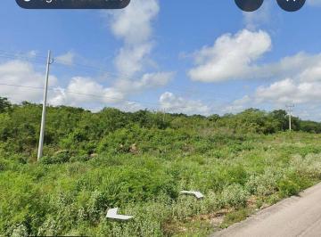 7ede8001a1b66dd57627293df0ce82059a6763f1d2c96f4e4ad2a423fd1fd90d · Excelente Terreno Sobre Carretera a Cancún, 2.5has Abajo del
