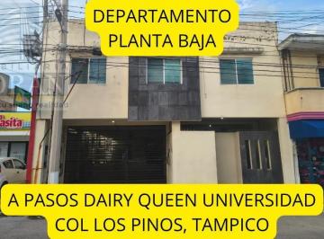 Departamento · Departamento Planta Baja Col Los Pinos Tampico