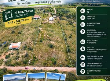 Terreno / Lote , Asientos · Terreno en Venta