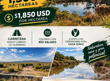 Rancho · 13530000ha · Rancho en Venta. Nuevo Laredo - Ciudad Guerrero Tamaulipas (1,300 Hectáreas)