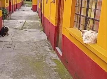 Terreno / Lote , Azcapotzalco · Excelente Terreno Para Edificios