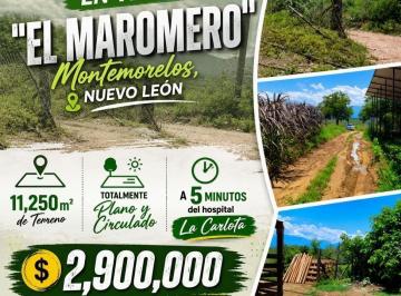 Rancho · 11250m² · Terreno en Venta. Montemorelos, Nuevo León.
