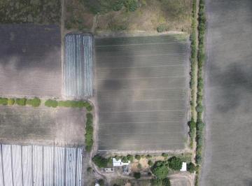 Rancho , Altamira · Hectáreas en Venta, Altamira Tamaulipas