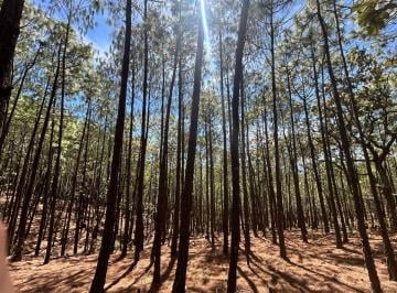 Terreno / Lote , Tapalpa · Terreno en Venta en Tapalpa - Mazati Reserve Condor 2a