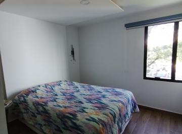 Departamento de 3 habitaciones, Coyoacán · Hermoso Departamento Completamente Remodelado