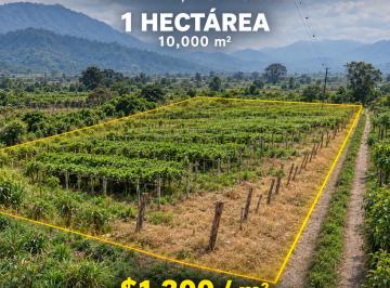 Terreno / Lote , Orizaba · Terreno en Venta de 10,000 m² en Orizaba, Zona Sur, Cerca de Cdo Sur
