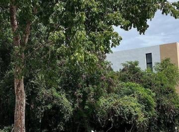 a051fd8dc8cfaa9ac13c2f5b9fc8d4eb3d418b1e97cb32f261fb3b9703053a3a · Tamara Residencial Lote en Venta en Privada Zona Dzibilchaltun