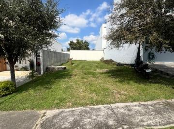 Terreno / Lote , Zapopan · Bosques Vallarta, Coto Roble