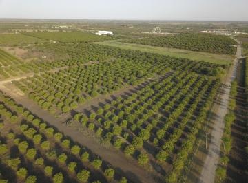 Terreno / Lote , Allende · Terrenos Campestres en Venta