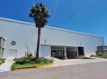 Nave industrial , Aguascalientes · Nave Industrial en Renta de 10,000 m² Al Sur de Aguascalientes