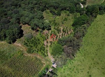 9066b1ce1655506006f3ef7dea7383b4162e76bc913022a020477e5412779839 · Terreno Campestre en Venta en La Primavera, Zapopan