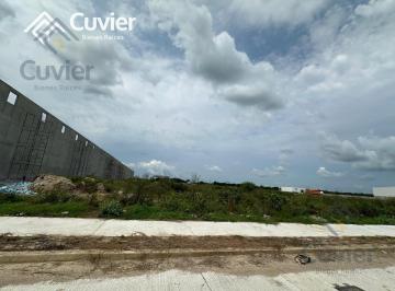 Terreno industrial · 150000m² · Tv2943 - Zr Terreno en Venta, Parque Industrial Altamira