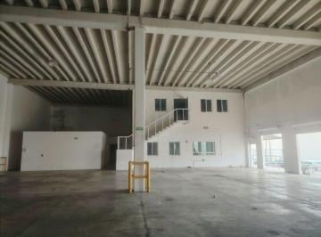 Bodega comercial , Benito Juárez · Bodega en Renta en Cancun