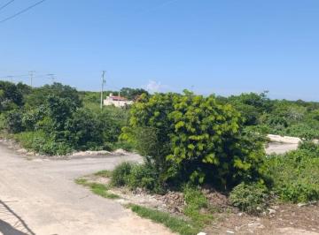 Terreno / Lote , Telchac Puerto · Terreno de Inversion en Telchac Suelo de Uso Mixto