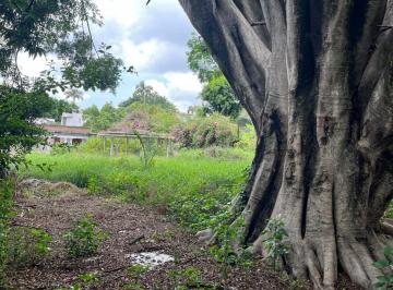 Terreno / Lote · 993m² · Propiedad en Venta a Precio de Terreno. Jardines de Delicias, Cuernavaca