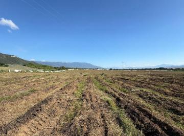 Rancho de 1 habitación, Sayula · Rancho Agrícola en Venta de 30 Hectáreas Planas en Sayula, Jalisco