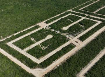 Terreno / Lote · 250m² · Venta de Terreno Residencial en San Crisanto Yucatán / Costa Esmeralda /a 17 Min de Telchac Puerto