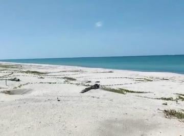 Terreno / Lote · 10000000m² · Terreno Rústico a La Orilla de La Playa Isla Aguada, Sabancuy, Campeche