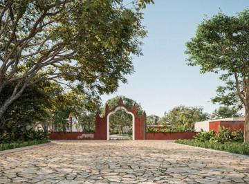Terreno / Lote , Motul · Terreno en Venta en Yucatan
