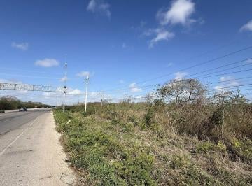 b776ff14622182530b0531f7b12664f08fff5c43573f51a9a6f048f174a95bf9 · Terreno Sobre Carretera Federal Mérida - Motul