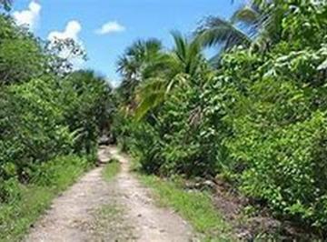 Terreno / Lote , Puerto Morelos · Terreno en Venta en Leona Vicario, Puerto Morelos, Quintana Roo