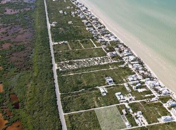 ddda0a00aebfe75e3ef6b56e69bdacb6469613e6d747ad995e8f3eefb17d078a · Terrenos a 150 m del Mar en San Benito Yucatán