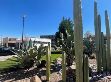 Terreno / Lote · 352m² · Terreno en Venta - (4)