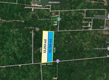 Terreno / Lote · 50750m² · Terreno en Venta en San Ignacio, Progreso Yucatán (Eb - Xg8703)