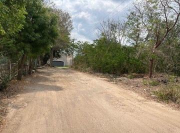 Terreno / Lote , Mérida · Lote Residencial en Venta en Cholul, Merida Yucatán Al Norte