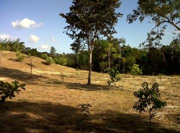 Finca de 2 habitaciones, Antón · Se Vende Finca en Antón de 22.2 Hectáreas