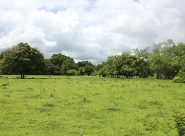 Terreno / Lote , Panamá · Venta 81.2 Ha en Utive Pacora