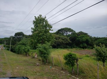 Terreno / Lote , Penonomé · Se Vende Finca de 11.3 Hectáreas en Santa Maria, Sobre Carretera a La Pintada
