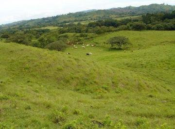 Finca , Soná · Venta de Finca en Santa Catalina, 25 Hectáreas