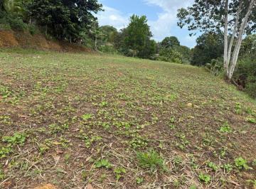 Terreno / Lote , La Chorrera · Se Vende Excelente Terreno en Chorrera - El Coco - Buena Ubicación