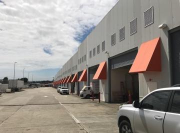 Bodega-Galpón-Depósito , Panamá · Galera Bodega Deposito 247.82 m²