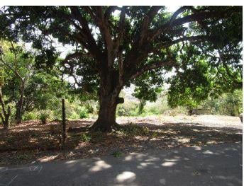 Finca de 3 habitaciones, Chepo · Tanara: Finca en Venta - 25 Hectáreas Plano - Ondulado, Finca con Agua Viva