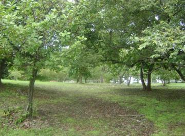 Terreno / Lote , San Carlos · Terreno en Río Mar, San Carlos, 5,000 m²