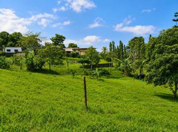 Terreno / Lote , Arraiján · Terreno en Venta en Arraijan con 1,000 Mtrs