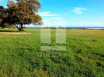 Terreno / Lote , San Carlos · Se Vende Terreno en Punta Barco de 5,043 m²
