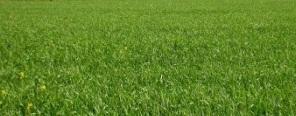 Terreno / Lote · 1706m² · Se Vende Lote en Santa Elena - 5139da