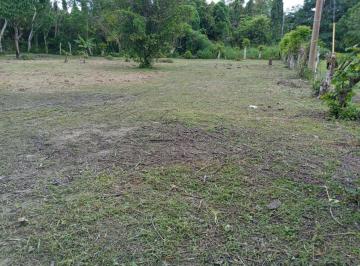 Terreno / Lote , Antón · Lotes Planos en La Via Al Valle de Anton de 1000 m²