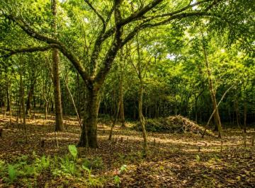 Terreno / Lote , Panamá · Venta de Terreno en Cerro Azul, 1 Hectárea